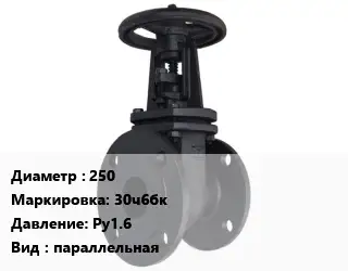 Задвижка чугунная 250 30ч6бк Ру1.6 параллельная